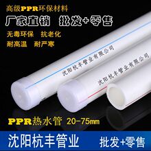 离职一年多钱还没拿回来！深兰机器人破产：上百人被欠薪